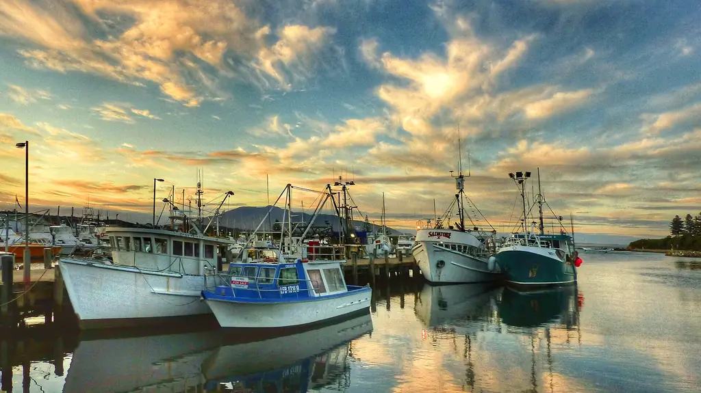 The marina and fishing fleet at Bermagui