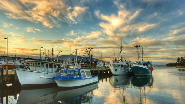 The marina and fishing fleet at Bermagui