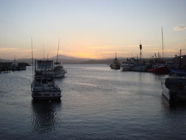 Fishing boats moored at Eden harbour on Twofold Bay