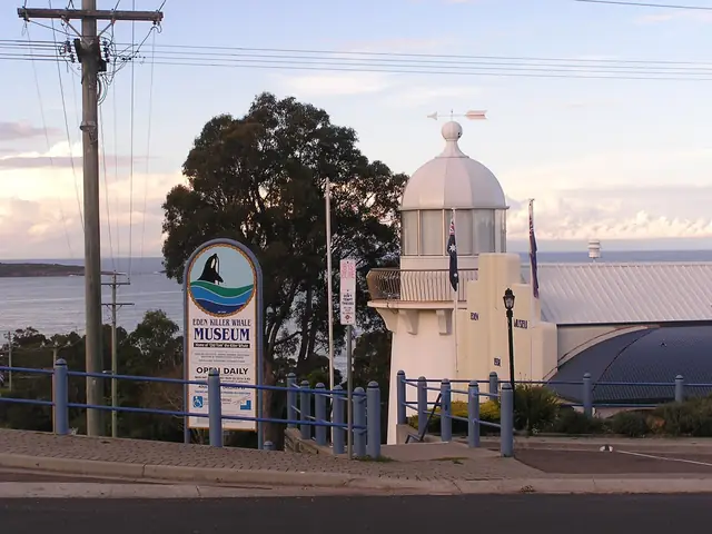 The Eden Killer Whale Museum on the Eden waterfront