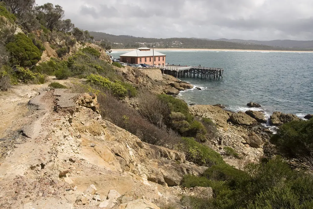 Spring on the coast at Tathra